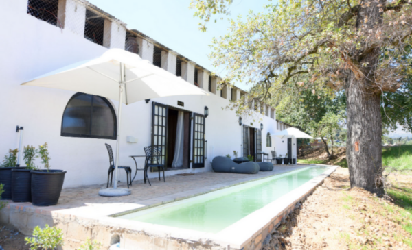 Experience an idyllic 1 night stay for 2 in the Klein-Drakenstein - Image 2