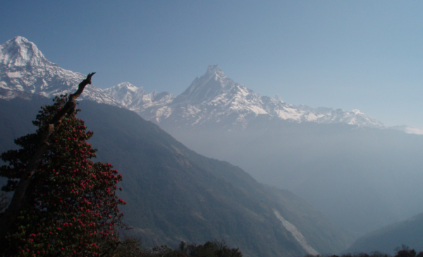 Experience the wonders of Nepal with a 12 Days Nepal Trek and Safari - Image 6