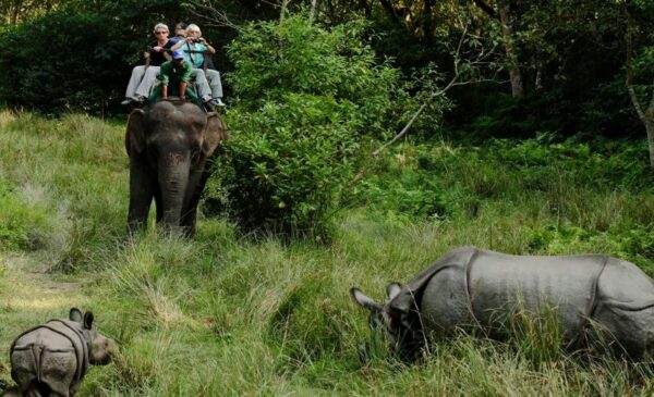 Get to know Nepal in 12 days alongside someone special - Image 2