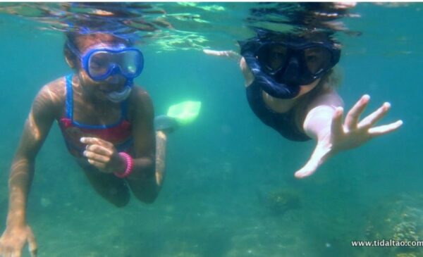 Explore the ocean with a 2 hour Discover Snorkel Safari for 2 people - Image 2