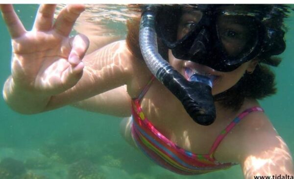 Explore the ocean with a 2 hour Discover Snorkel Safari for 2 people - Image 5