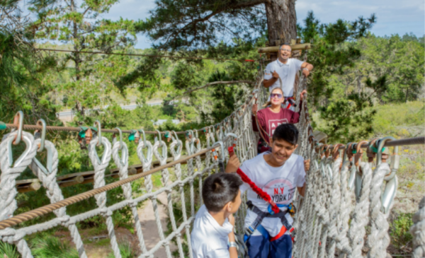 Entrance for 2 to the Green Monkey Moves obstacle course at Acrobranch - Image 4