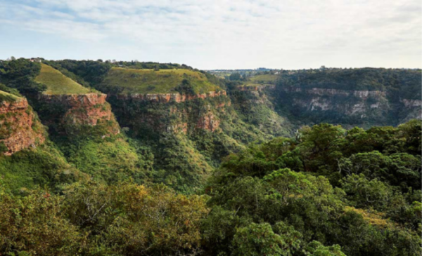 ammazulu african palace kloof