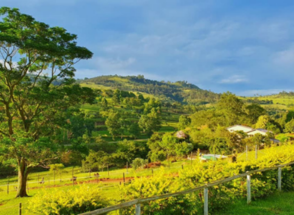A 1-Night Getaway for 2 at a Guesthouse in West Durban - Image 7