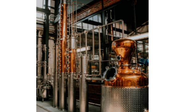 How about gin tasting with your favourite person? - Image 2