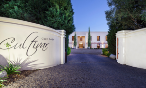 cultivar guest lodge hotel stellenbosch