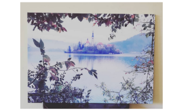 Receive 50% off the price of any standard-size canvas print - Image 4