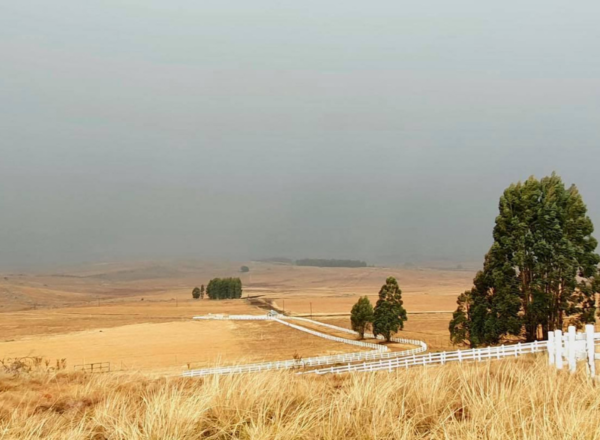 A countryside stay in a self-catering unit for the family - Image 5