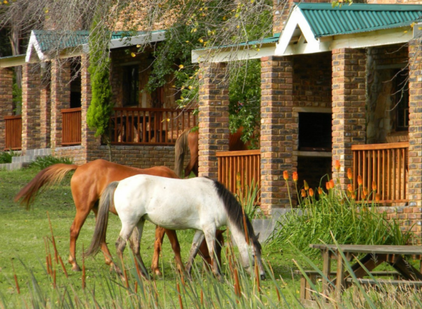 A countryside stay in a self-catering unit for the family - Image 3