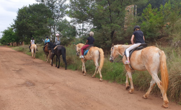 A Horse Riding Experience for 2 People in Pretoria - Image 5