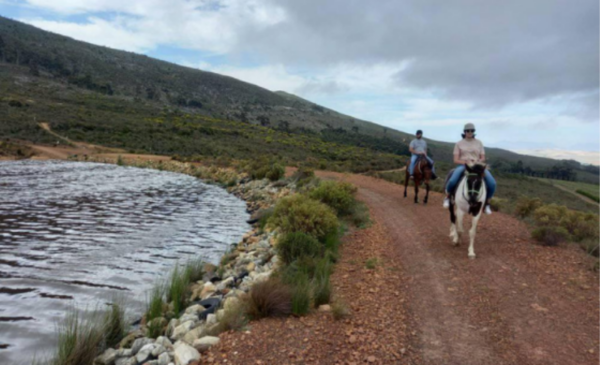 Country rides on horseback including a beer tasting - Image 4