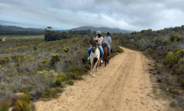 Country rides on horseback including a beer tasting - Image 5