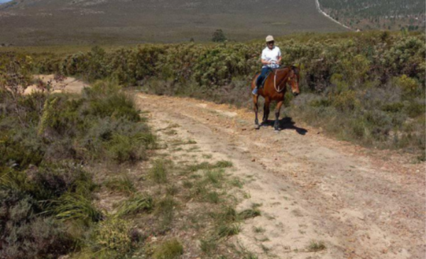 Country rides on horseback including a beer tasting - Image 6