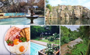 hornbill lodge inland magaliesburg breakfast