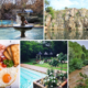 hornbill lodge inland magaliesburg breakfast