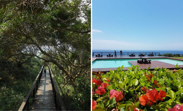 ponta do ouro hotels