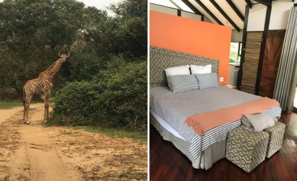 kuleni game park accommodation
