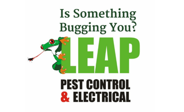 Pest control treatments for your home