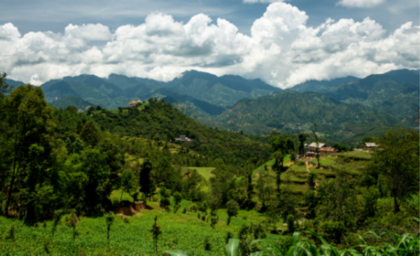 travel to nepal from south africa