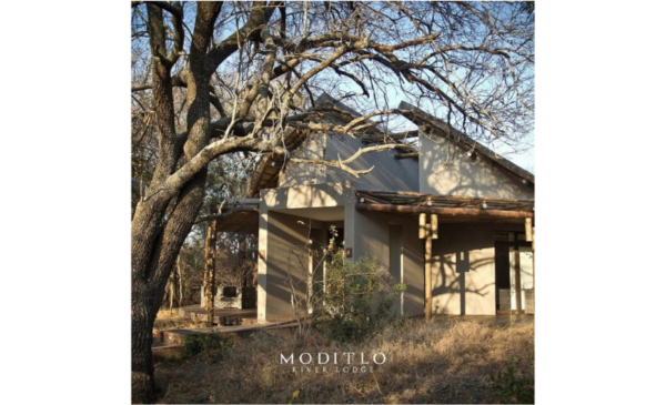 limpopo safari lodges