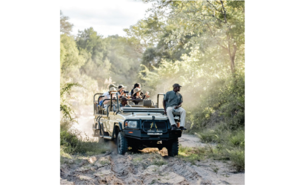game lodge hoedspruit