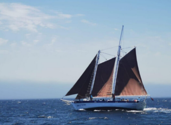 Enjoy a different view of Cape Town with a sea and sky package - Image 6