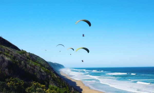 Soar over the Garden Route with tandem paragliding - Image 4