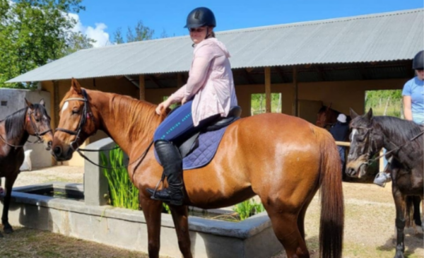 Patch of Heaven Equestrian Centre (1)