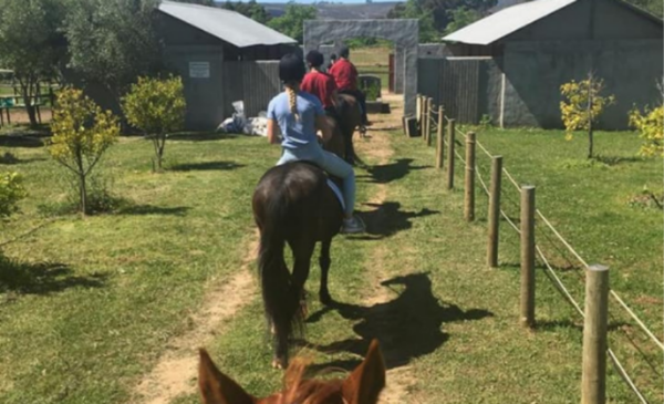 Discover the beauty of Elgin with a scenic outride for 2 - Image 3