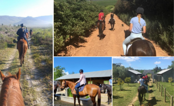 A Romantic Couple's Horse Riding Experience - Image 4
