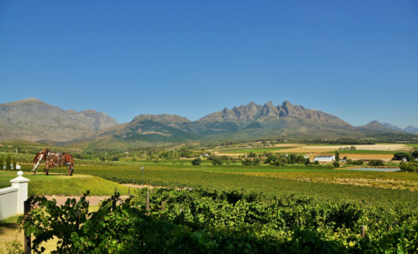 b&b wellington western cape