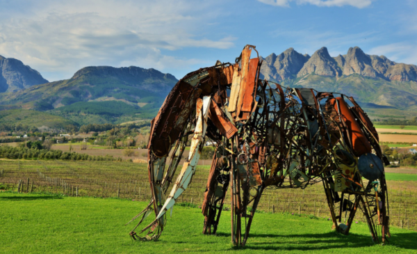 Stay in the Cape Winelands for Two Nights - Image 8