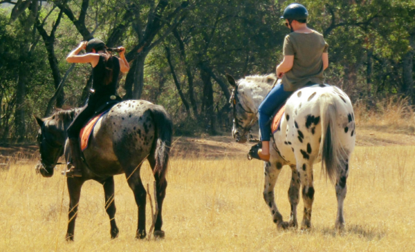 cullinan farm stay accommodation