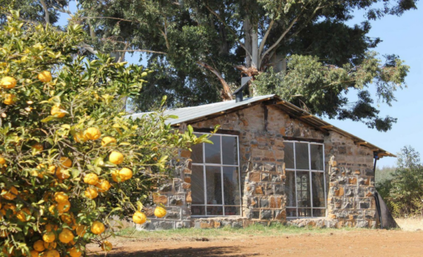 A 2 nights B&B Drakensberg stay - Image 3