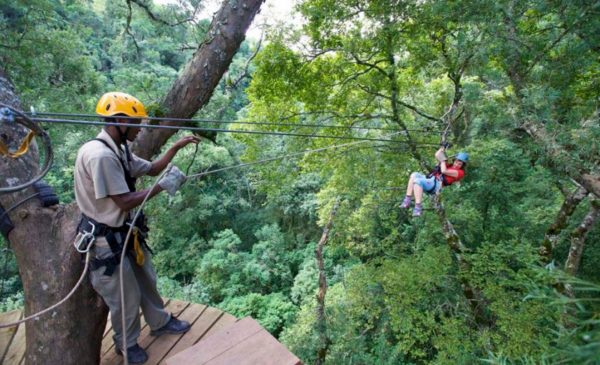 Soar through the trees with a ziplining experience for 1 person - Image 2