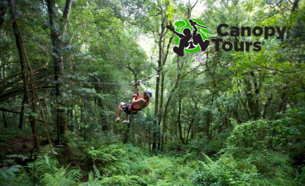 drakensberg zipline specials