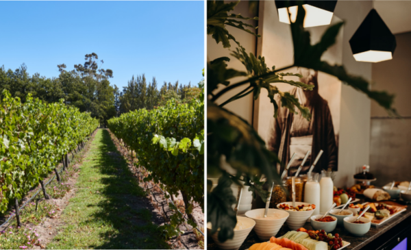 Opulent midweek B&B lodging for 2 - Image 10