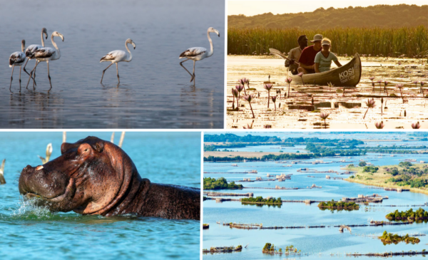 2 nights and all meals included in the gorgeous iSimangaliso Wetland Park - Image 7