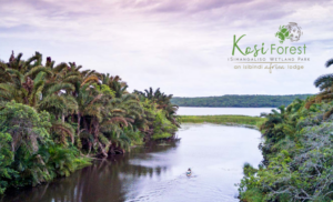 manguzi accommodation specials
