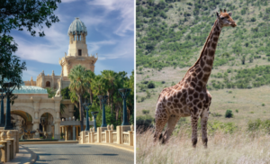 b&b stay at waterglen guest lodge in rustenberg