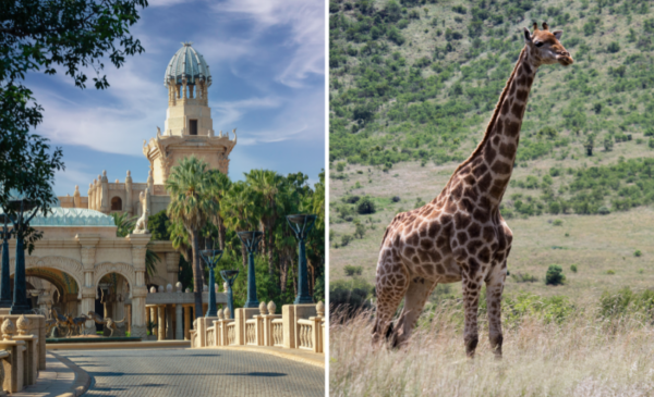 b&b stay at waterglen guest lodge in rustenberg