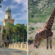 b&b stay at waterglen guest lodge in rustenberg