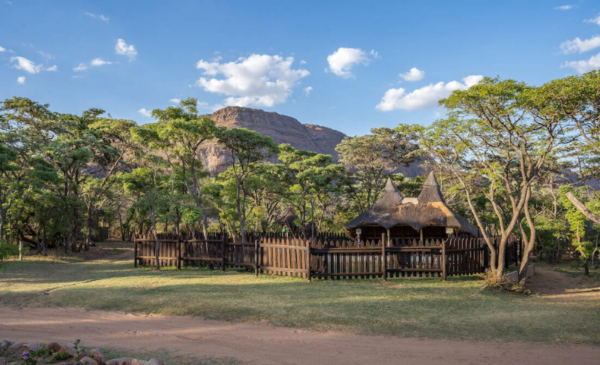 2 nights in the African bush including game drives a day and more - Image 4