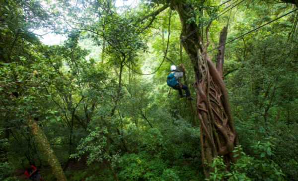 A canopy tour for one person - Image 5