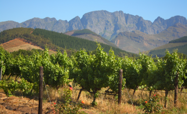 2-night stay for 2 near Swellendam - Image 3