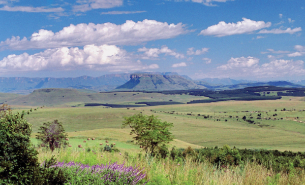 A charming DB&B stay in the heart of the Drakensberg - Image 6