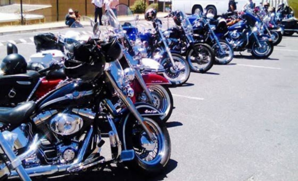 Experience the breathtaking scenery of the Cape Peninsula for 2 hours on a Harley Davidson - Image 6