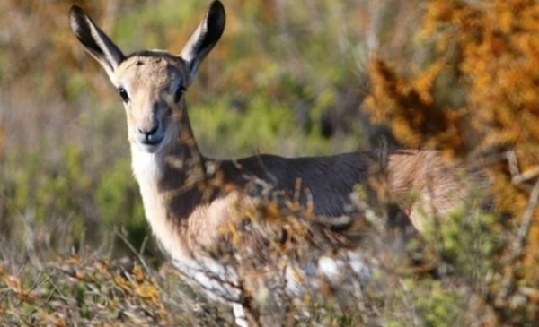 Have a 2-night B&B stay with a loved one along the West Coast - Image 5
