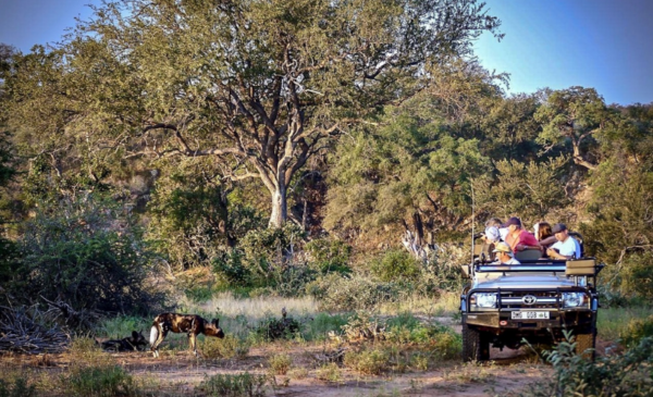 A luxurious 2 night stay in the African bush - Image 6