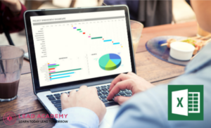 Lead Academy Complete Microsoft Excel basic training short course
